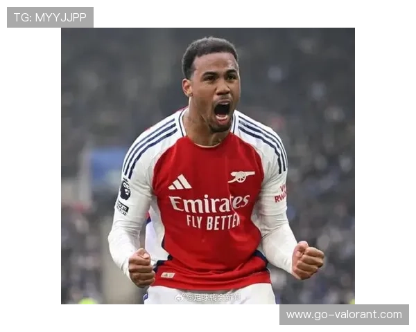 尤文图斯与AC米兰竞逐莱切20岁中卫加布里埃尔,冬窗争夺战升温